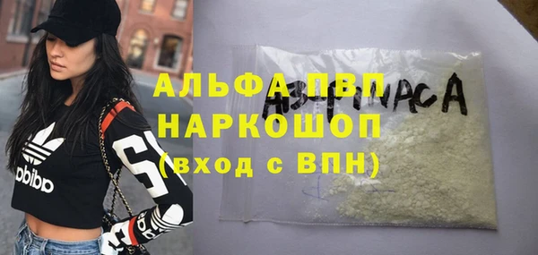 PSILOCYBIN Каменногорск