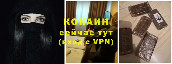 PSILOCYBIN Каменногорск