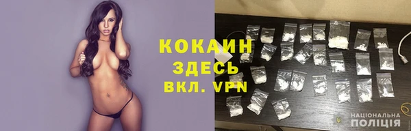 PSILOCYBIN Каменногорск