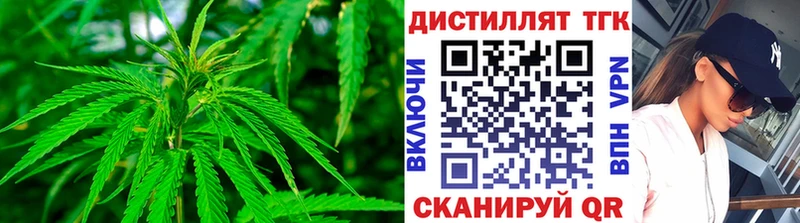 ТГК концентрат  Купить закладки  Гаджиево 